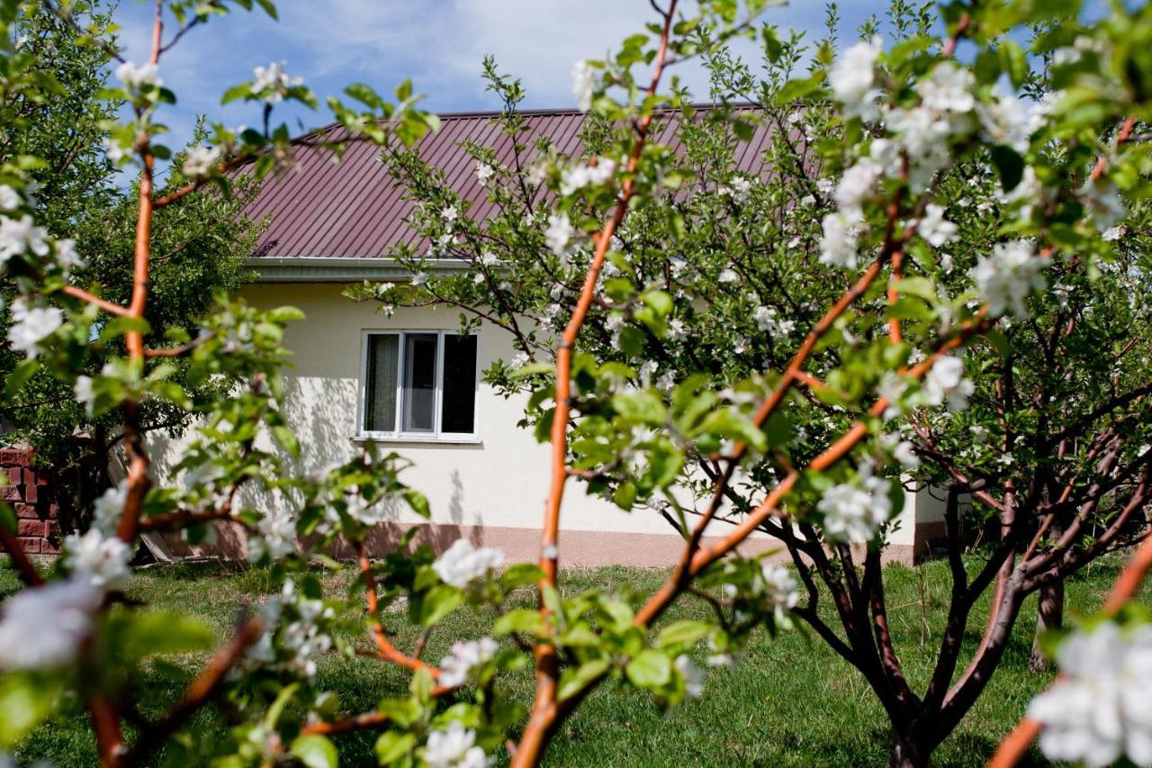 Barskoon Guest House Ngoại thất bức ảnh